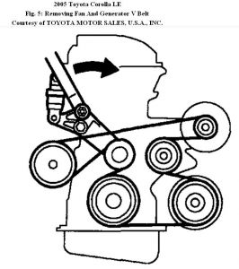 picture 2004 Toyota Echo Belt Diagram wiring site resource