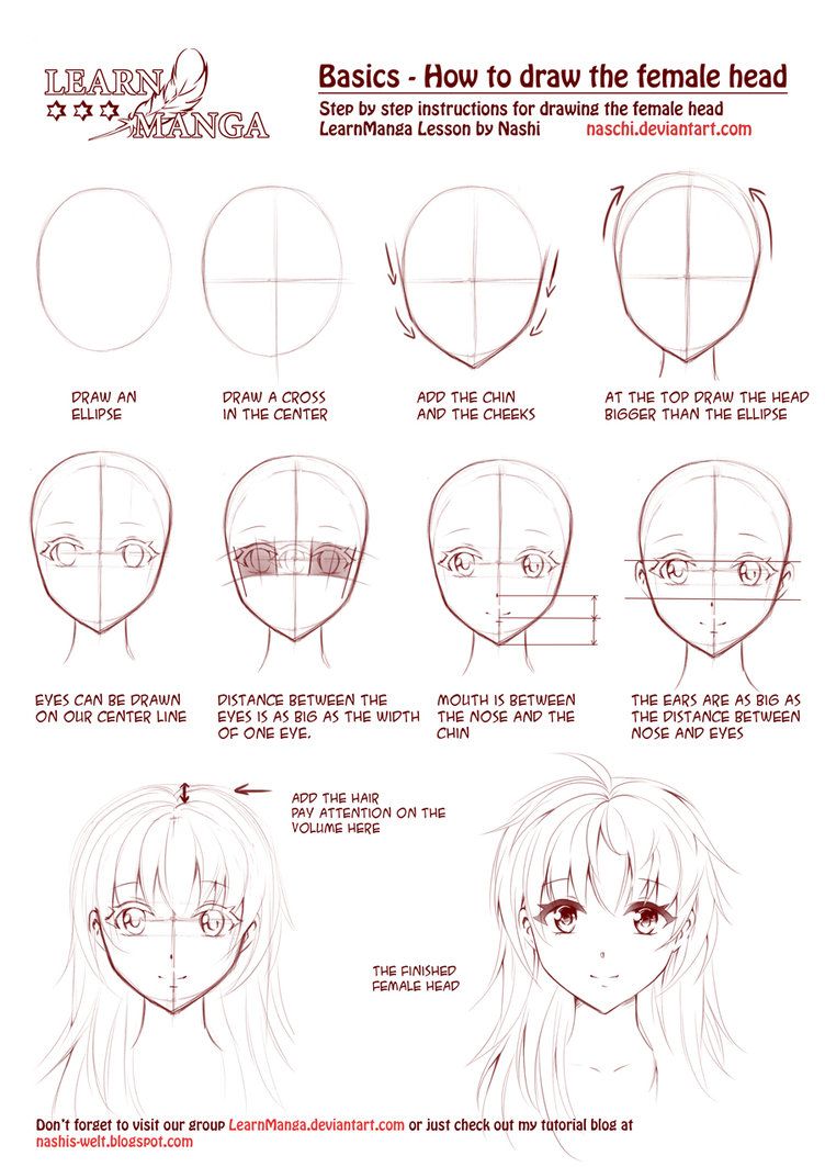 picture Anime Face Reference Front 210 anime face reference ideas manga