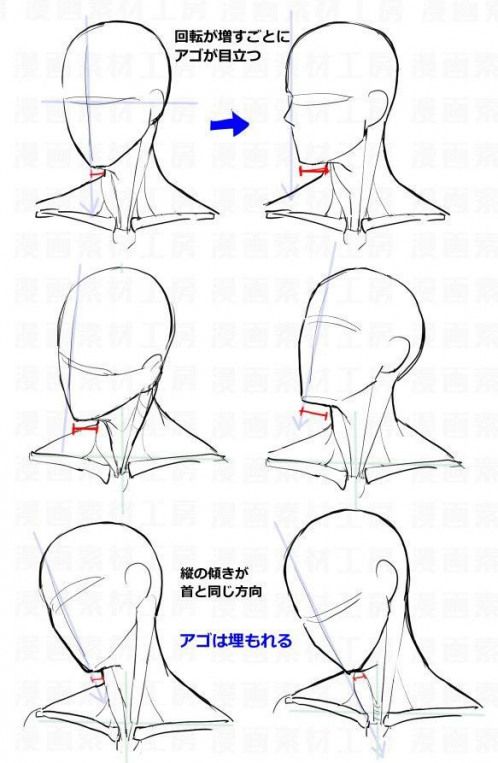 photo Anime Face Reference Pose face drawing reference