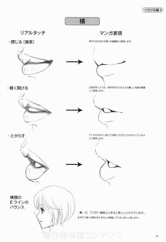 wallpapers Anime Mouth Reference Side 12 anime mouth side view drawings