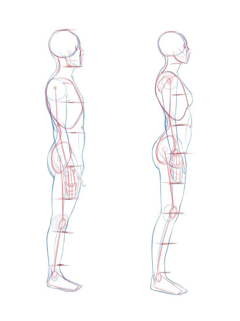 pics Anime Side Profile Male Body how to draw different views for male body proportions manga style
