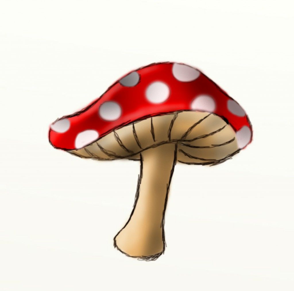 picture Cute Indie Drawings Mushroom mushroom drawing