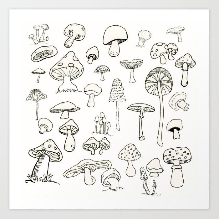Featured image of post Cute Little Mushroom Drawings