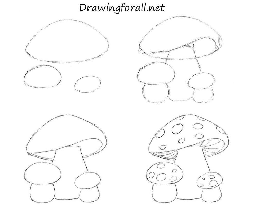 photo Cute Simple Mushroom Drawings mushroom drawing easy drawings alice