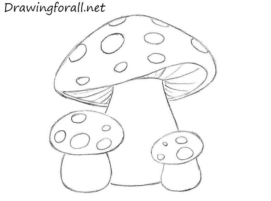 photo Cute Simple Mushroom Drawings mushroom drawing easy drawings