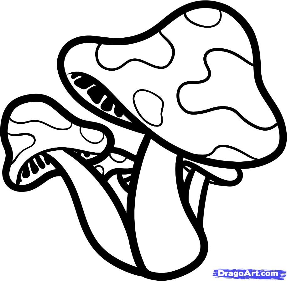 pic Cute Trippy Mushroom Drawings trippy mushroom drawings free image download
