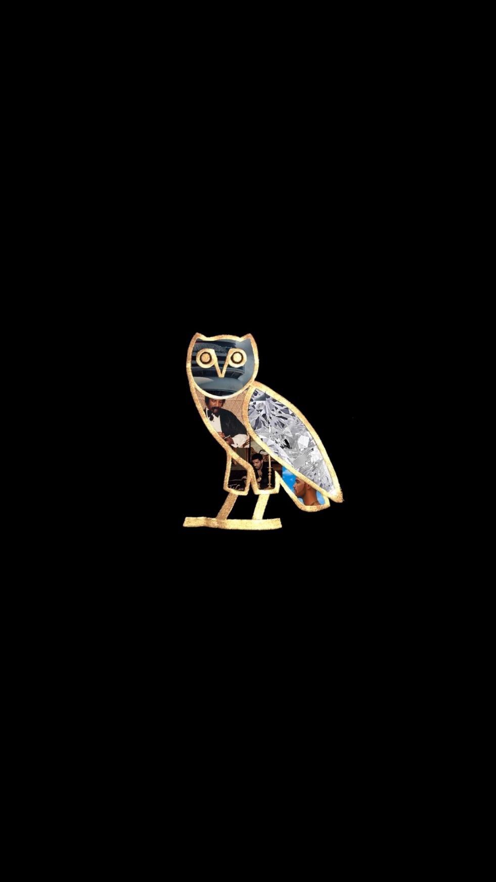 picture Drake Ovo Owl Wallpaper https www pinterest com pin 452752568791110020