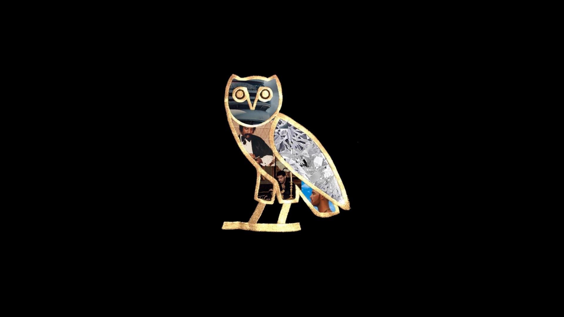 pics Drake Owl Album details about vintage drake rap t shirt take care album promo ovo xl owl toronto