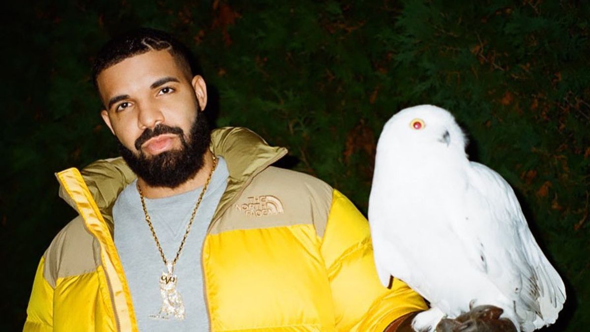 photo Drake Owl Album drake owls nothing was the same