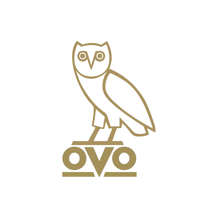 Featured image of post Drake Owl Logo