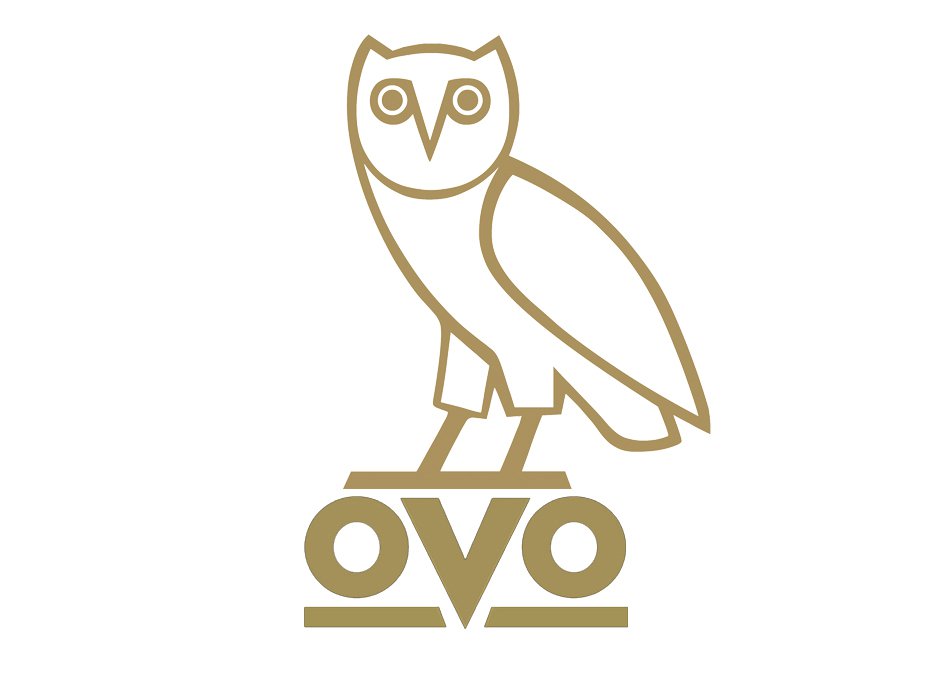 photo Drake Owl Logo logo and symbol meaning