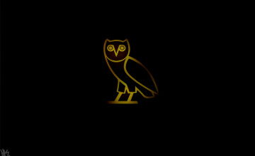 photo Drake Owl Wallpaper Hd drake ovo wallpapers wallpaper cave
