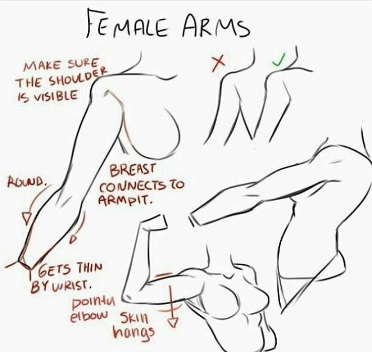 Featured image of post Female Arm Anatomy Drawing Reference