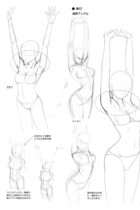 images Female Arm Poses Drawing Reference trendy ideas drawing poses female hands