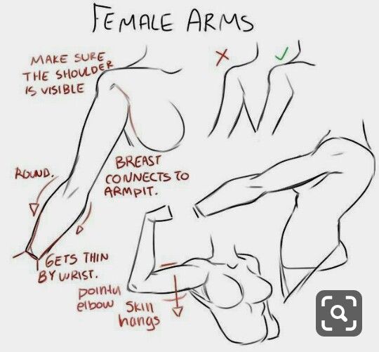 photo Female Arm Poses Drawing Reference arm drawing anatomy reference