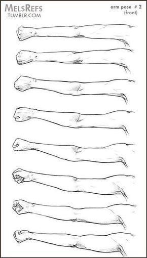 pic Female Arm Poses Drawing Reference anatomy reference