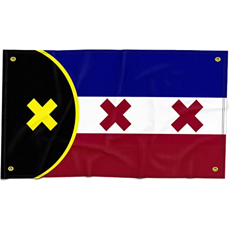 Featured image of post L&#039;manburg Flag