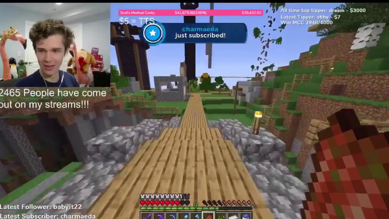 pix Lmanberg Flag Burning youtube