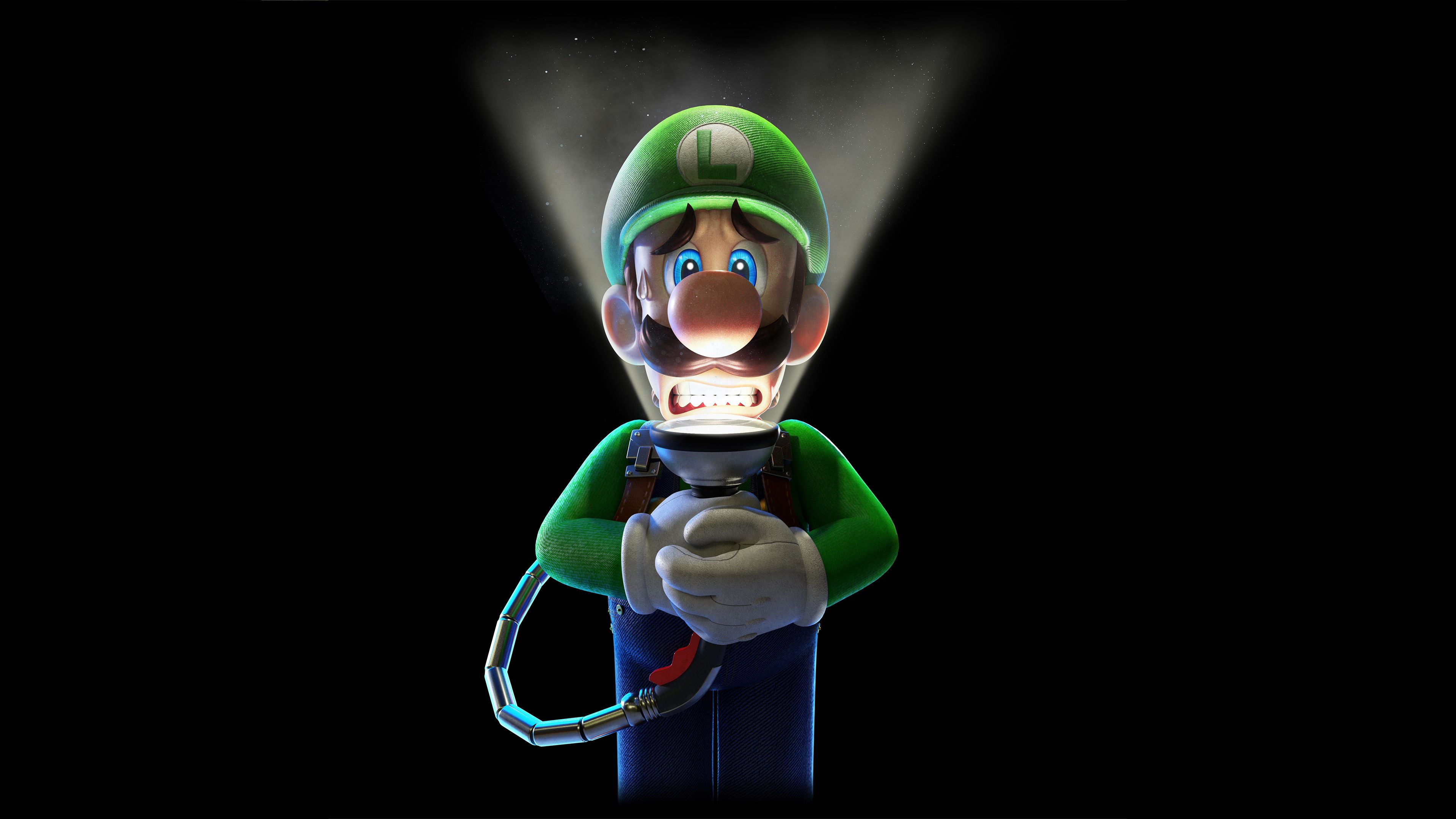 Featured image of post Luigi&#039;s Mansion Wallpaper Hd