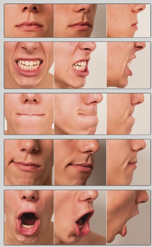 wallpapers Mouth Reference Real drawing references and resources