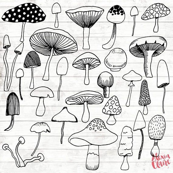 picture Mushroom Drawing Reference mushroom drawing