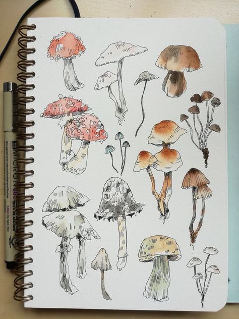 pix Mushroom Person Drawing 75 mushroom men maidens ideas