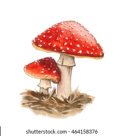 Featured image of post Mushroom Red And White Drawing