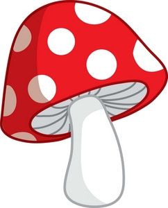 wallpapers Mushroom Red And White Drawing mushroom art botanical drawings