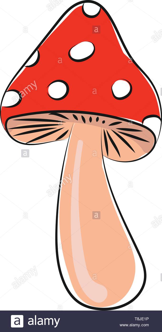 pix Mushroom Red And White Drawing illustration of a red mushroom on a