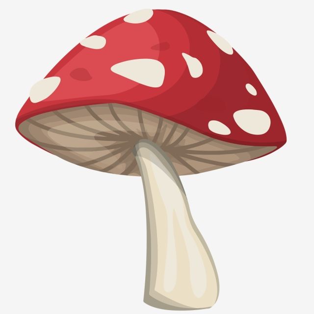 images Mushroom Red And White Drawing https www alamy com small tiny mushroom red with white dots vector color drawing or illustration image246268562 html