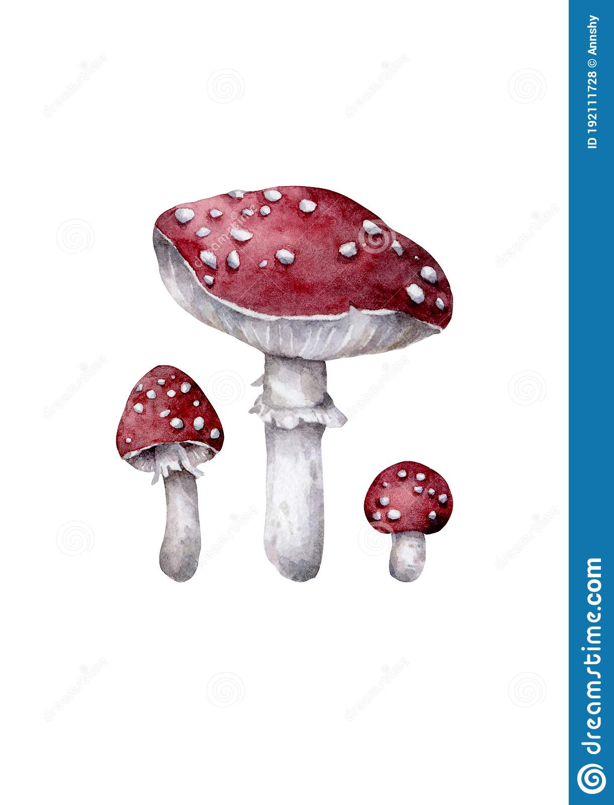 images Mushroom Red And White Drawing https depositphotos com 231143536 stock photo watercolor botanical drawing red fly html