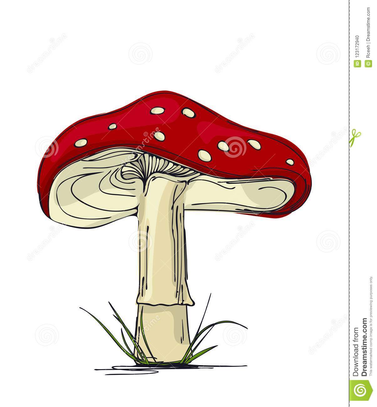 images Mushroom Red And White Drawing https www shutterstock com image illustration fairy tale mushrooms illustration 464158376