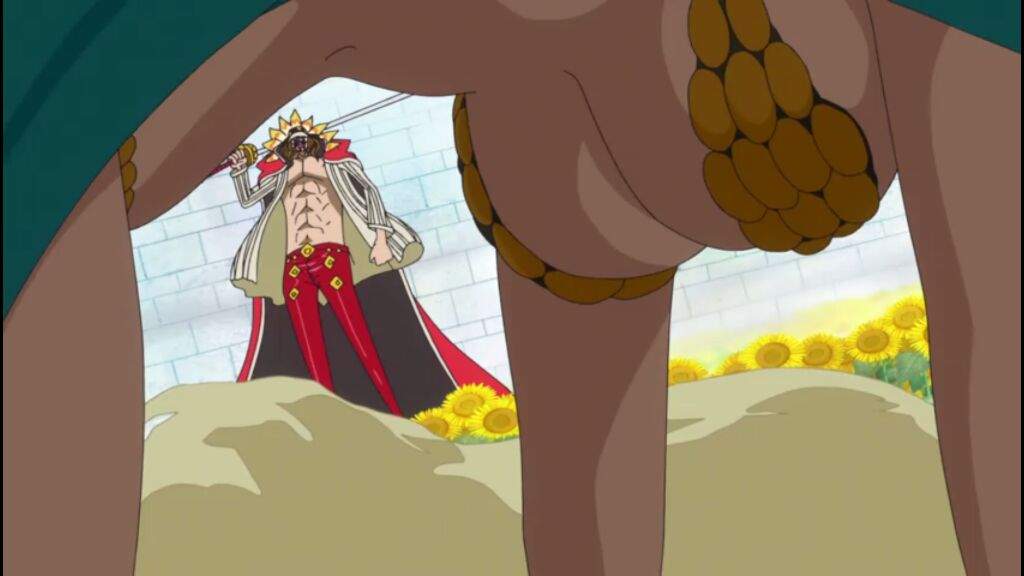 images One Piece Fanservice fan service one piece ensaio feito por raphael feitoza l flickr