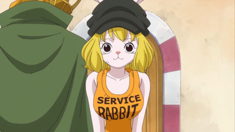 picture One Piece Fanservice one piece fans definitely noticed its