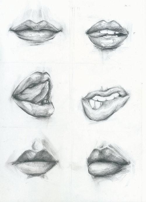 pic Realistic Mouth Reference Drawing diane wright art journal