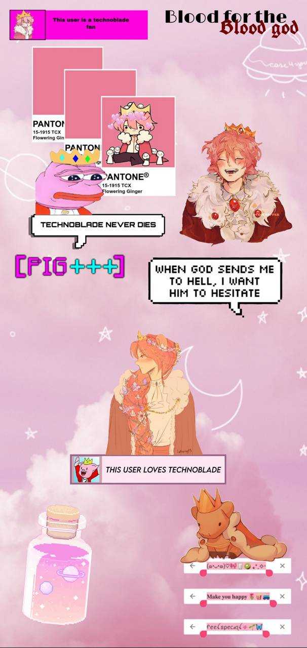 wallpapers Technoblade Wallpaper Iphone technoblade wallpaper nawpic