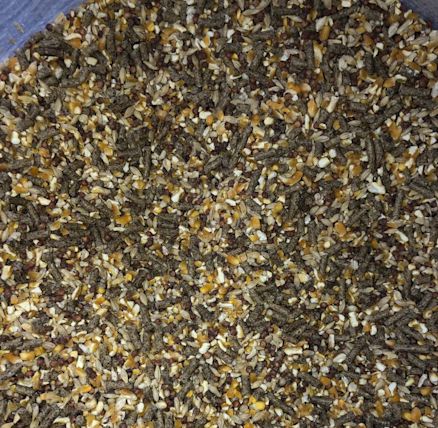 pix Tgt Feed tylomox plus 500 single packet