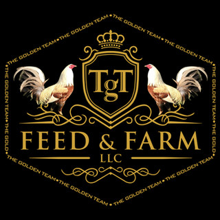 pix Tgt Feed www tgtfeed com